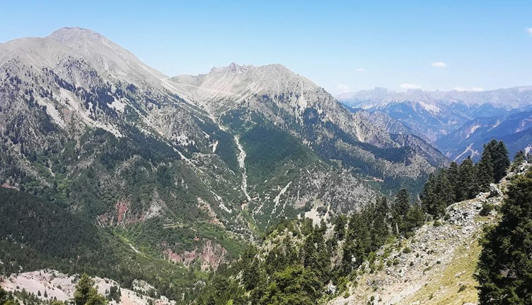 Κατσαντώνεια