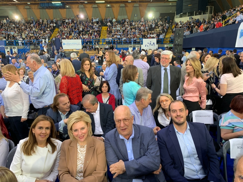 Περιστέρι _ φωτό 3_800x600