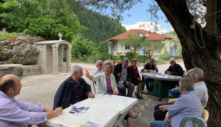 Στο Διάσελο Κέδρων